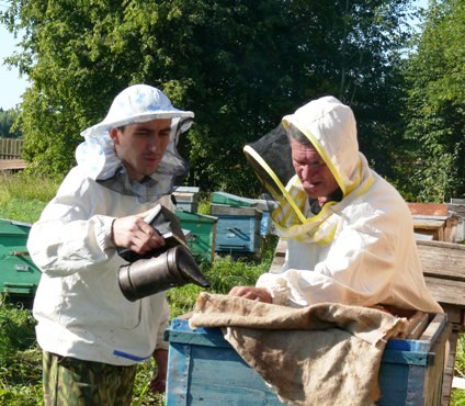 агрофраншиза пчеловодства