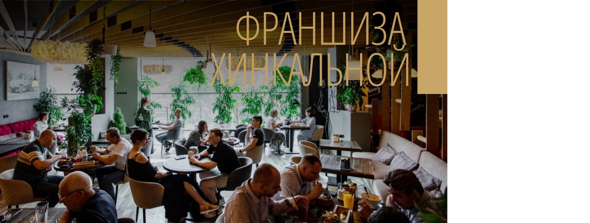 Кацо Кацо