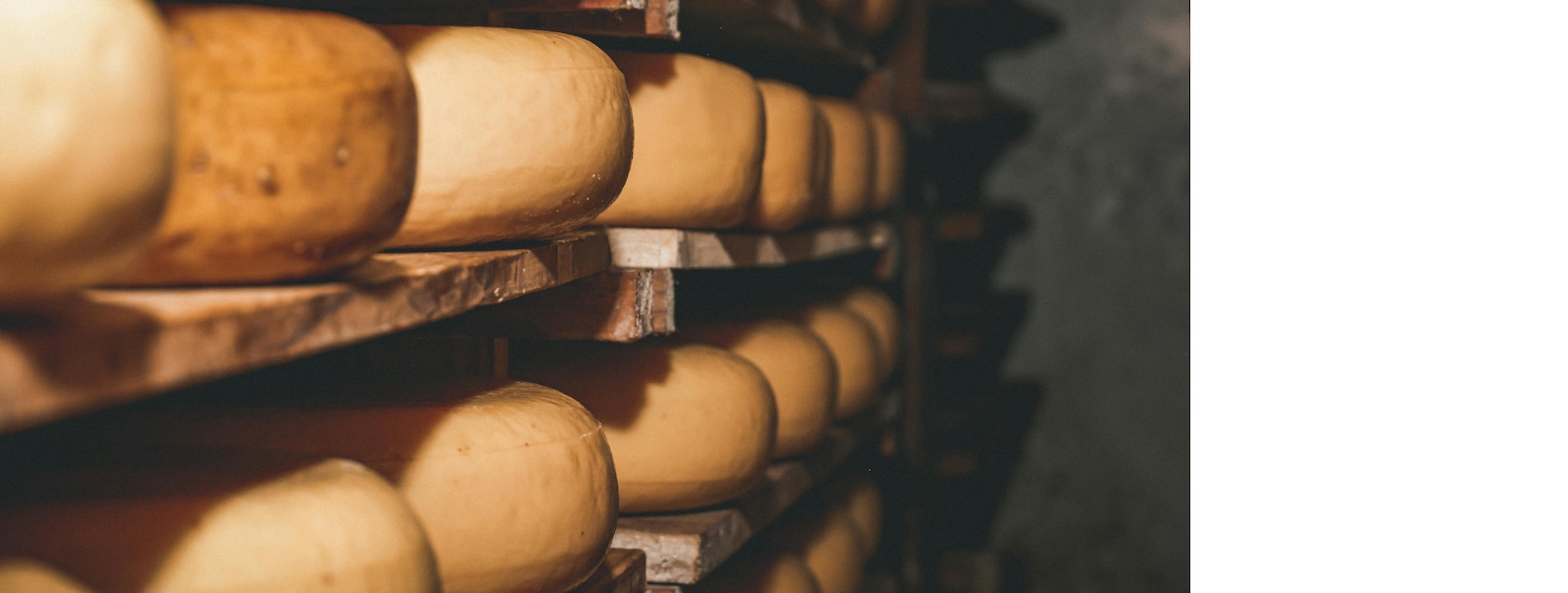 Сырный сомелье