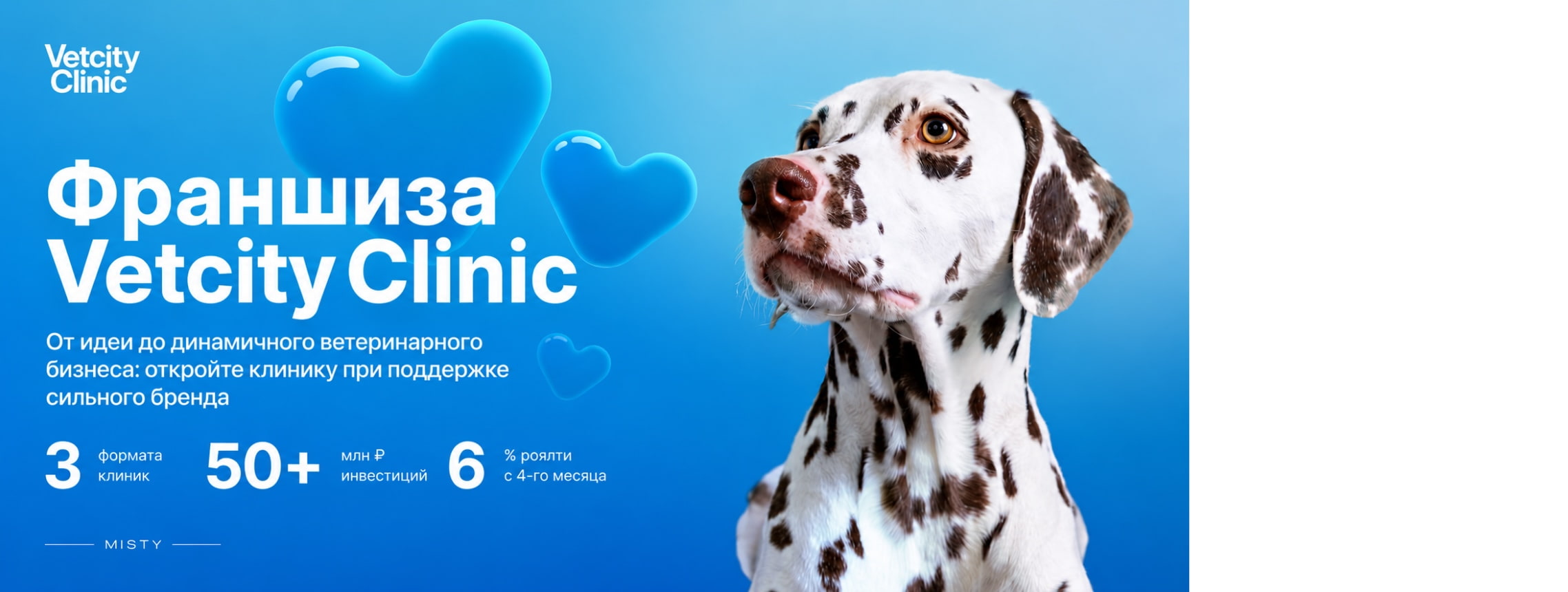 Vetcity Clinic
